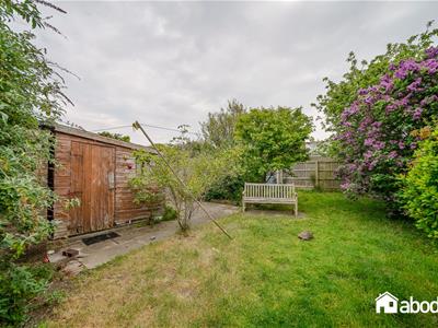 Picture 22